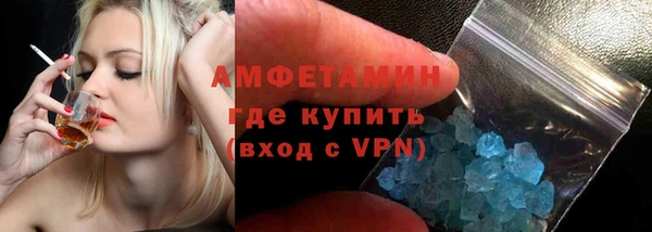 индика Абаза