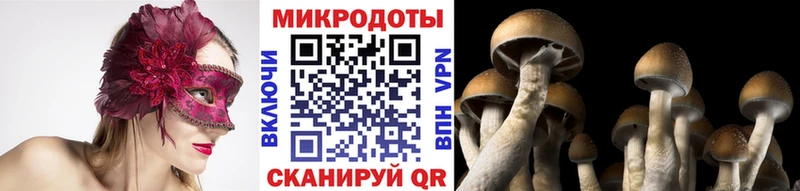 Галлюциногенные грибы Psilocybe  наркотики  Алзамай 