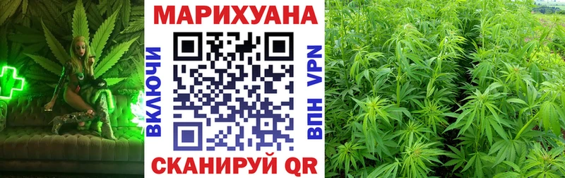 Бошки марихуана Ganja  наркота  omg онион  Алзамай 